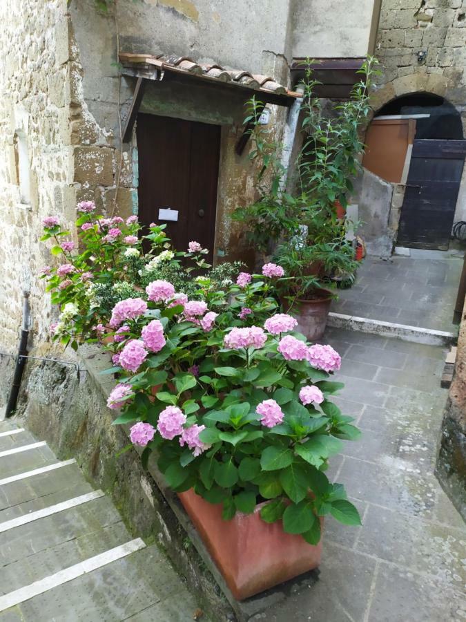 Apartmán Mozzafiato Pitigliano Exteriér fotografie